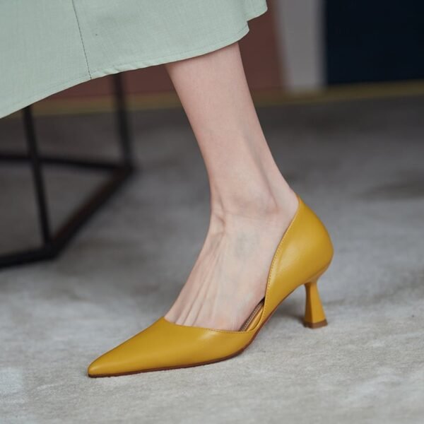 Chiko Sharan Pointed Toe Stiletto Pumps