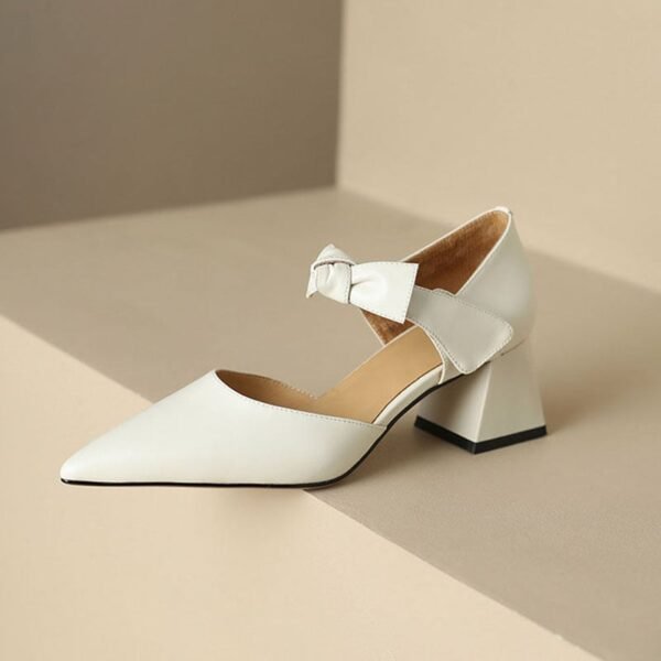 CHIKO Jacqulin Pointy Toe Block Heels Mary Jane Shoes