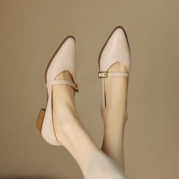 CHIKO Jevette Pointy Toe Block Heels Mary Jane Shoes