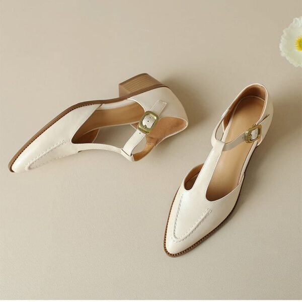 CHIKO Kailey Pointy Toe Block Heels T-Strap Shoes