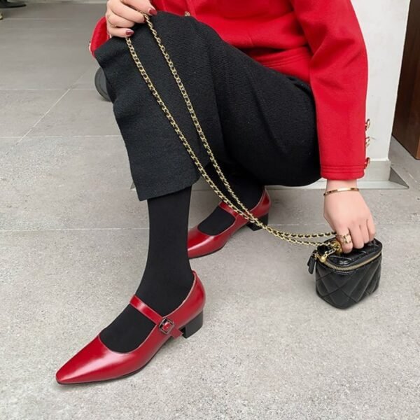 CHIKO Terrica Pointy Toe Block Heels Mary Jane Shoes