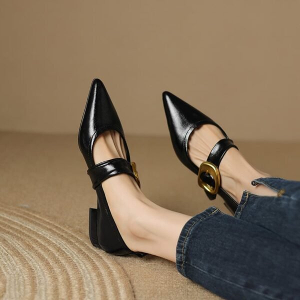 CHIKO Maeve Pointy Toe Block Heels Mary Jane Shoes