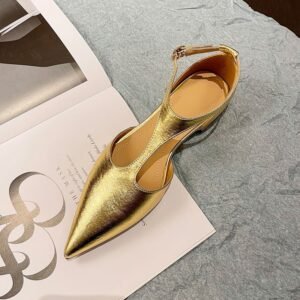 CHIKO Raven Pointy Toe Block Heels T-Strap Shoes