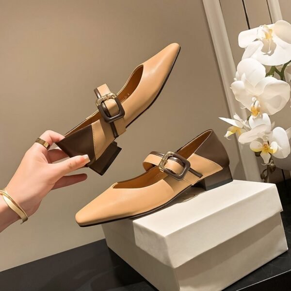 CHIKO Kalare Pointy Toe Block Heels Mary Jane Shoes