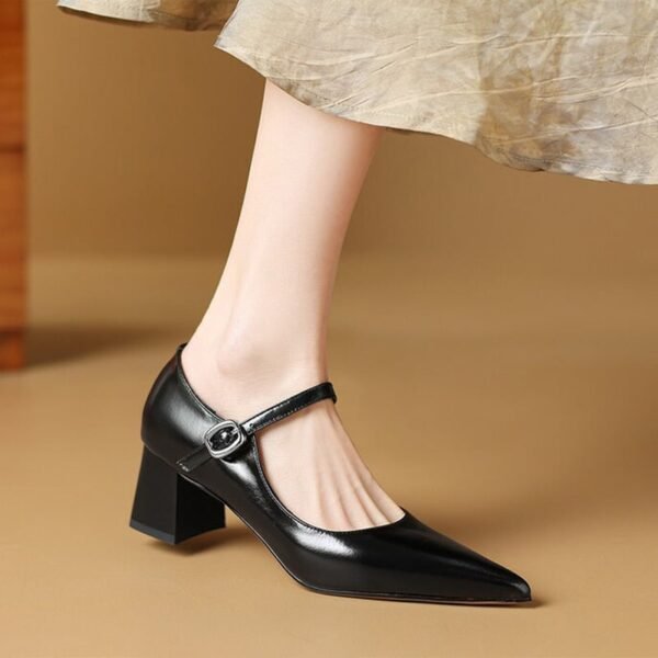 CHIKO Alicja Pointy Toe Block Heels Mary Jane Shoes