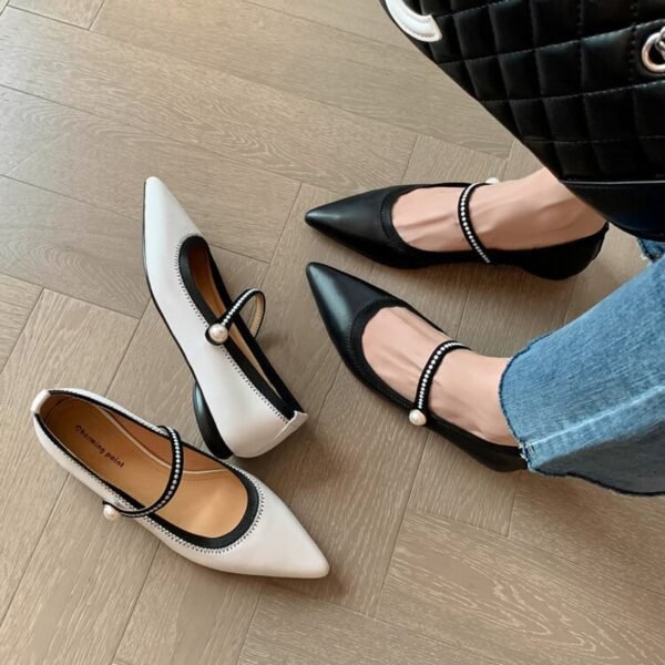 CHIKO Bennu Pointy Toe Block Heels Mary Jane Shoes