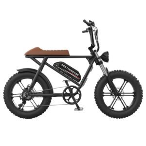 AOSTIRMOTOR STORM 20*4.0'' Fat Tires 750W Motor 45km/h Max Speed 48V 12.5Ah Battery 25-40km Range Shimano 7-Speed Gear