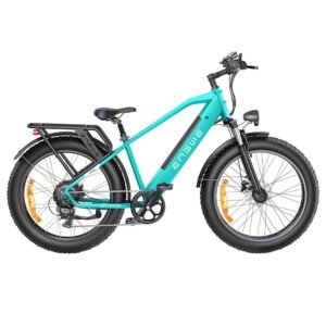 ENGWE E26 Electric Bike Step-over 48V 16AH 750W Motor 28mph Blue