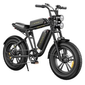 ENGWE M20 Electric Bike 2*13Ah Batteries 20*4.0 inch Tires 750W Brushless Motor 45km/h Max Speed Front & Rear Disc Brakes - Black