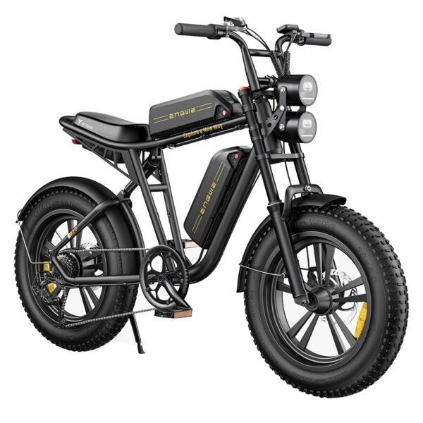 ENGWE M20 Electric Bike 2*13Ah Batteries 20*4.0 inch Tires 750W Brushless Motor 45km/h Max Speed Front & Rear Disc Brakes - Black