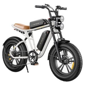 ENGWE M20 Electric Bike 2*13Ah Batteries 20*4.0 inch Tires 750W Brushless Motor 45km/h Max Speed Front & Rear Disc Brakes - White