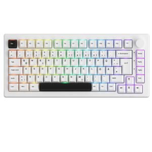 Akko 5075B Plus ISO-DE Triple-Mode Wireless Mechanical Keyboard