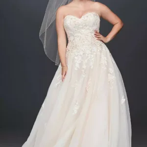 Embroidered Lace Applique Ball Gown Wedding Dress