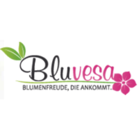 Get Up to 5.4% Cash Back Shopping With Bluvesa DE