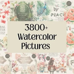 3800+ Watercolor Pictures Bundle | Extended License