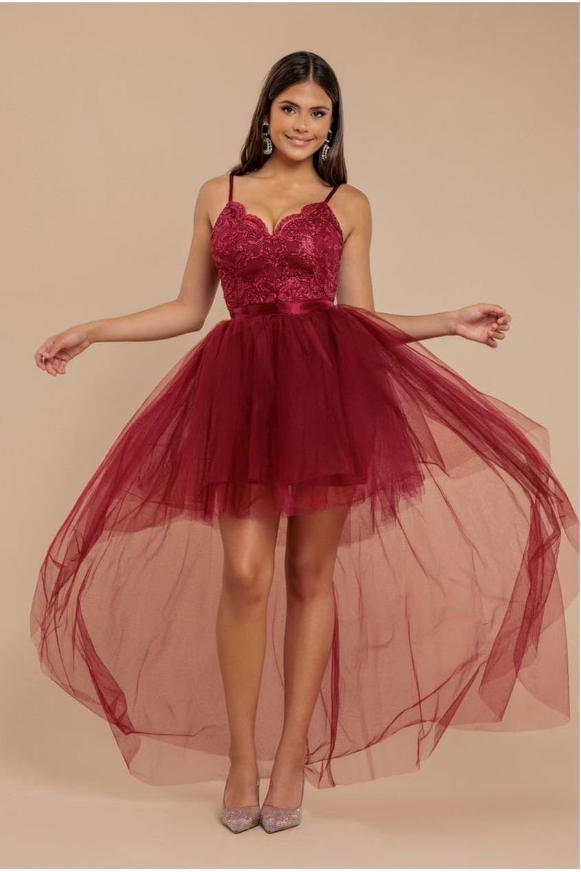 Goddiva High Low Tulle Mini With Lace Bodice – Wine