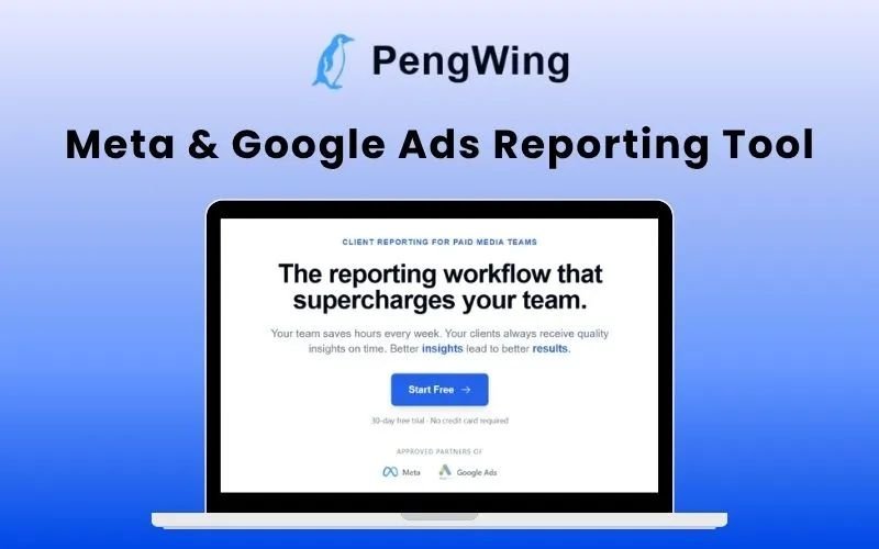 PengWing – Meta & Google Ads Reporting Tool | Annual Access